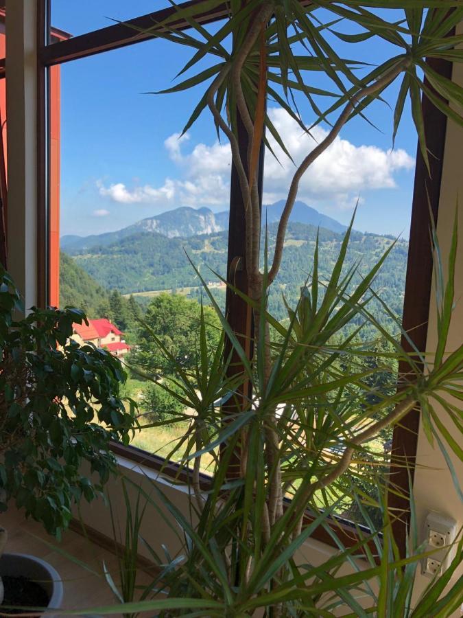 Genco Hotel Mountain View Predeal Exterior foto