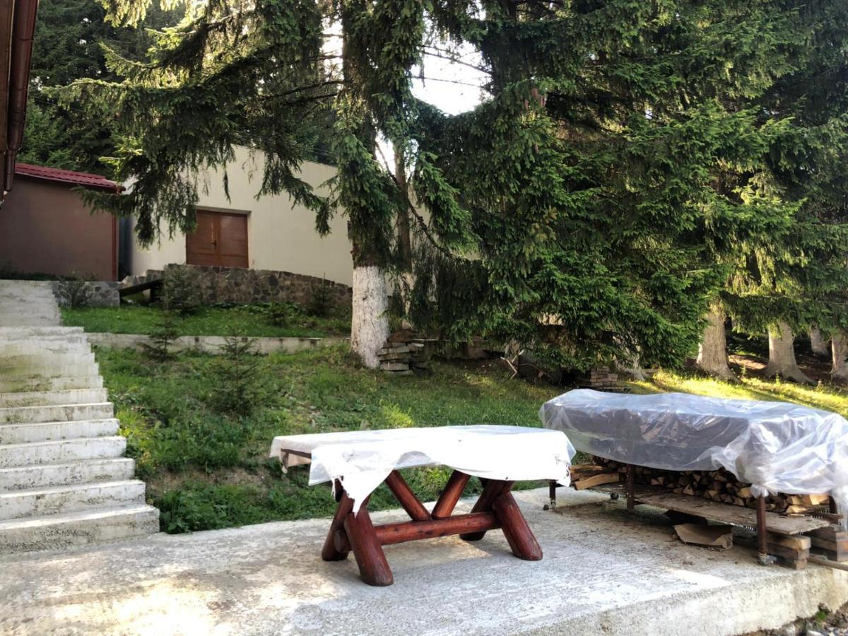 Genco Hotel Mountain View Predeal Exterior foto