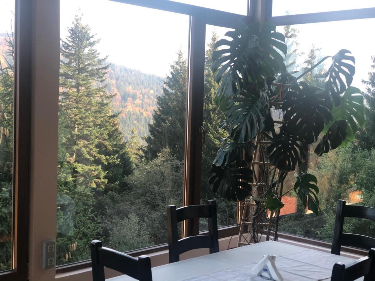 Genco Hotel Mountain View Predeal Exterior foto